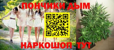 стаф Моздок