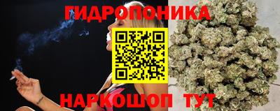 стаф Моздок