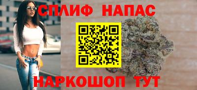 стаф Моздок