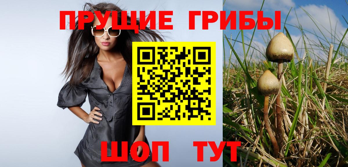 Псилоцибиновые грибы Magic Shrooms  Вход с VPN  Железногорск 